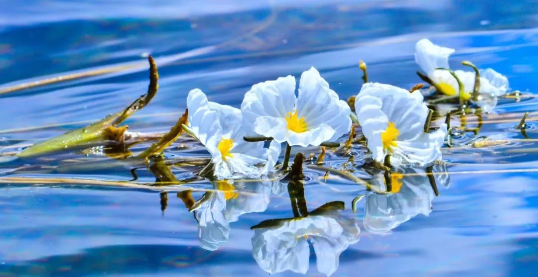 糟糕！瀘沽湖的“水性楊花”，讓我有了心動的感覺！