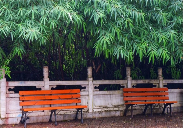 煙雨繚繞，黑龍潭與詩平分秋色